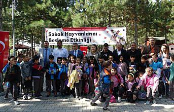 Çorum'da çocuklar barınaktaki sahipsiz hayvanları besledi