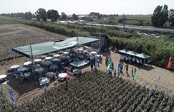 Hektaş'ın yeni pamuk tohumu “Volkan“, Egeli çiftçilere tanıtıldı