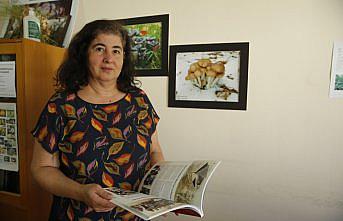 Mantar zehirlenmelerine karşı uzmanlar yine uyardı