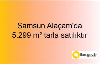 Samsun Alaçam'da 5.299 m² tarla mahkemeden satılıktır