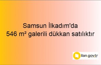 Samsun İlkadım'da 546 m² galerili dükkan icradan satılıktır