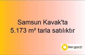 Samsun Kavak'ta 5.173 m² tarla mahkemeden satılıktır