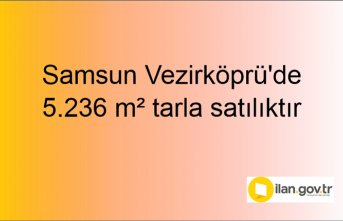 Samsun Vezirköprü'de 5.236 m² tarla mahkemeden satılıktır