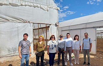 TARSİM heyeti Antalya'daki ekspertiz çalışmalarına katıldı