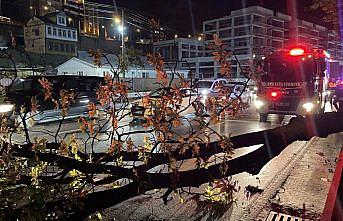 Trabzon'da şiddetli rüzgar etkili oldu