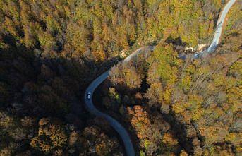 Batı Karadeniz ormanları sonbaharın güzelliklerini sergiliyor