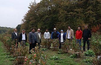 Eflanili çiftçiler Bursa ile Bolu'daki tarla ve bahçeleri gezdi