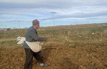 Güz ekim dönemi başladı
