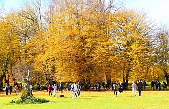 Karabük Valisi Gürel, üniversite öğrencileriyle doğa yürüyüşü yaptı