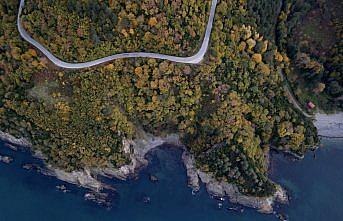 Karadeniz kıyısındaki ormanlarda sonbahar renkleri havadan görüntülendi