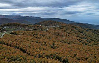 Kastamonu sonbaharın bütün renklerini yansıtıyor