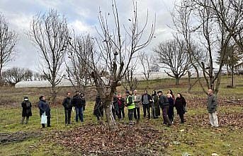 Safranbolu'da tarım eğitimleri devam ediyor