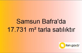 Samsun Bafra'da 17.731 m² tarlanın 1/2 hissesi icradan satılıktır