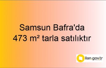 Samsun Bafra'da 473 m² tarla mahkemeden satılıktır