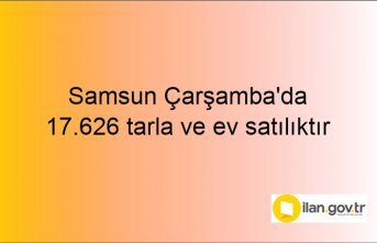 Samsun Çarşamba'da 17.626 tarla ve ev mahkemeden satılıktır