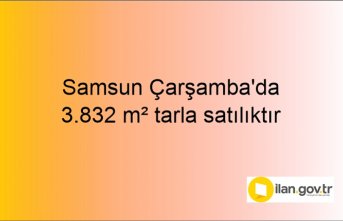 Samsun Çarşamba'da 3.832 m² tarla mahkemeden satılıktır