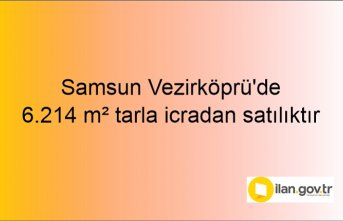 Samsun Vezirköprü'de 6.214 m² tarla icradan satılıktır
