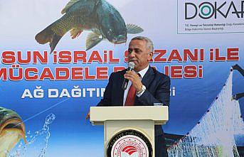 Samsun'daki göllerde 3 yılda 860 ton “istilacı“ İsrail sazanı avlanacak