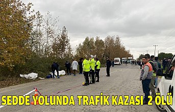 SEDDE YOLUNDA TRAFİK KAZASI  2 ÖLÜ