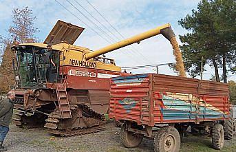 Terme'de 4 bin ton soya fasulyesi yetiştirilmesi bekleniyor