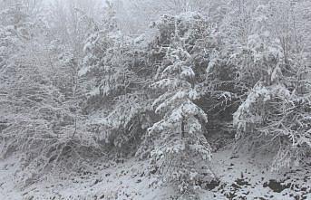 Amasya'nın yüksek kesimlerinde kar etkili oldu