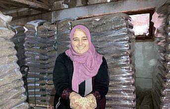 Belediyedeki işinden ayrılıp pelet üretim tesisi kurdu