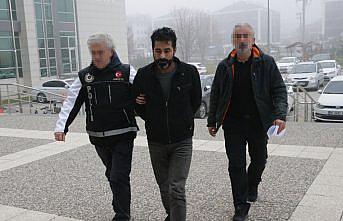 Bolu'da kamyonda 230 kilo 750 gram uyuşturucu ele geçirildi