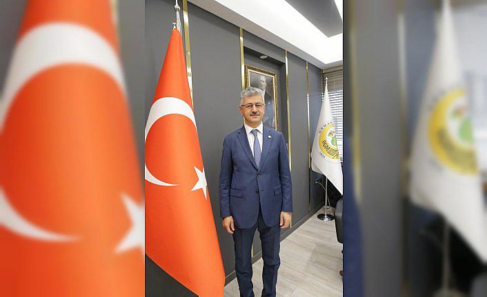 Bolu'da yanan ormanlık alanlar ağaçlandırılıyor