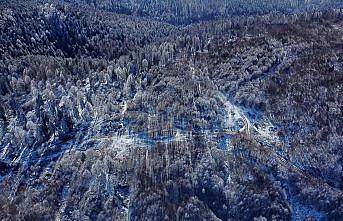 Düzce'deki Topuk Yaylası'na kar yağdı