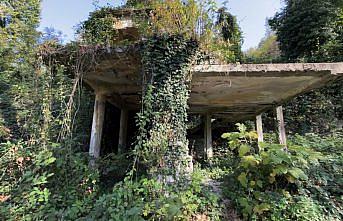 Kara elmasla hayat bulan “Kandilli“ eski günlerini arıyor