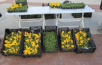 Karabük'te “Kadın Üretici Pazarı“ açıldı