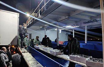 Kastamonu'da balıkçılar limana kasalar dolusu hamsiyle döndü