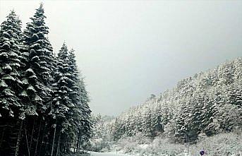 Keltepe Kayak Merkezi'nde kar ve sis etkili oluyor