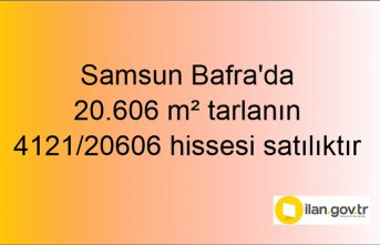 Samsun Bafra'da 20.606 m² tarlanın 4121/20606 hissesi icradan satılıktır