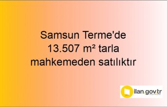 Samsun Terme'de 13.507 m² tarla mahkemeden satılıktır
