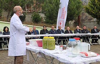 Samsun'da zeytin üretimi artıyor