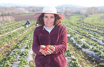 Şehirden köye dönen kadın girişimci tarıma yönelerek üretici oldu