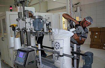 Şeker pancarının tarladan sofraya zahmetli yolculuğu