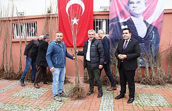 Taşova’da kiraz ve kuşburnu fidanı dağıtıldı
