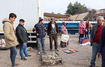 Tirit sezonuyla birlikte Havza'da kaz satışları başladı