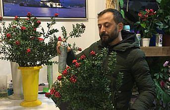 Yılbaşının simgelerinden kokina çiçeği tezgahlarda yerini aldı