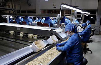 FİSKOBİRLİK'te üretim ve satışta yoğun bir yıl bekleniyor