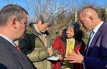 Japon bilim insanı Amasra'da antik kentteki kazı çalışmalarını inceledi