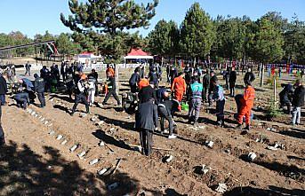 Karabük'te 2022'de 170 bin fidan toprakla buluştu