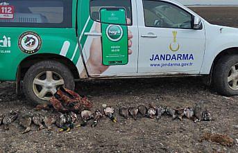 Kızılırmak Deltası Kuş Cenneti'nde kaçak avcılık yapan 2 kişi yakalandı