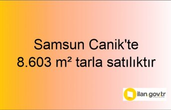 Samsun Canik'te 8.603 m² tarla mahkemeden satılıktır