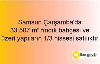 Samsun Çarşamba'da 33.507 m² fındık bahçesi ve üzeri yapıların 1/3 hissesi icradan satılıktır