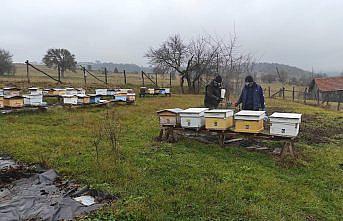 Seben'de “arı kenesi“ne karşı ilaçlama çalışması yapıldı