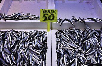 Trabzon'da hamsinin kilogramı 25-50 liradan satılıyor