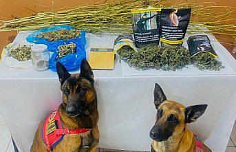 Trabzon'da uyuşturucu operasyonunda gözaltına alınan 2 zanlı tutuklandı